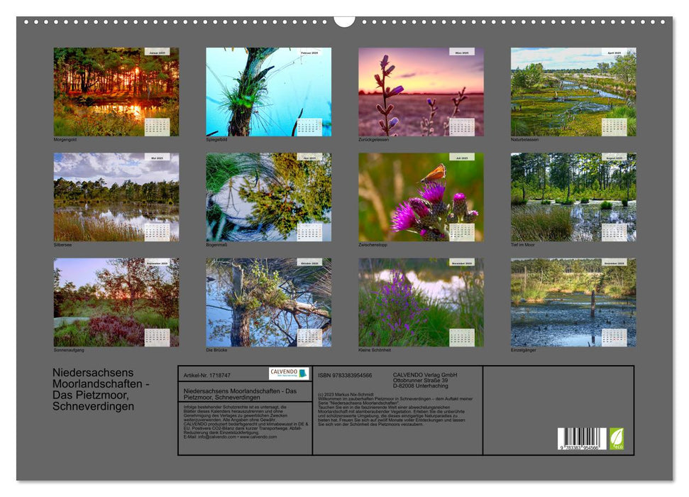 Niedersachsens Moorlandschaften - Das Pietzmoor, Schneverdingen (CALVENDO Wandkalender 2025)