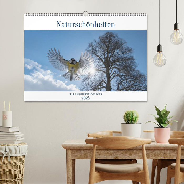 Naturschönheiten im Biosphärerenreservat Rhön (CALVENDO Wandkalender 2025)