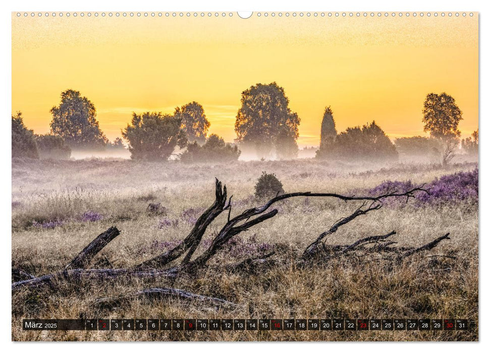 Die Lüneburger Heide - Faszination einer Naturlandschaft (CALVENDO Premium Wandkalender 2025)