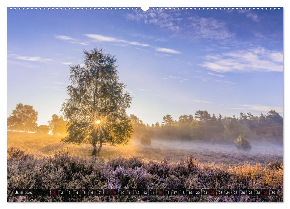 Die Lüneburger Heide - Faszination einer Naturlandschaft (CALVENDO Premium Wandkalender 2025)