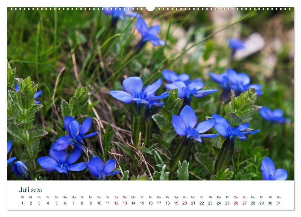 Die Dolomiten - Wanderung durch den Naturpark Schlern-Rosengarten (CALVENDO Premium Wandkalender 2025)