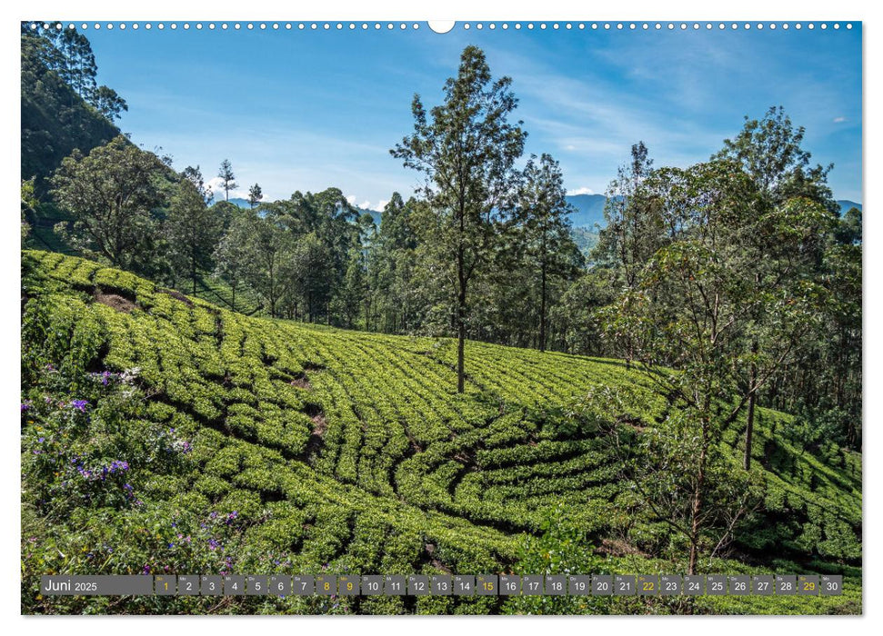 Sri Lanka - landschaftliche Vielfalt (CALVENDO Premium Wandkalender 2025)