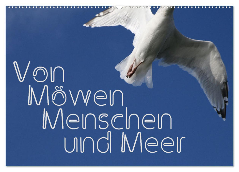 Von Möwen, Menschen und Meer (CALVENDO Wandkalender 2025)