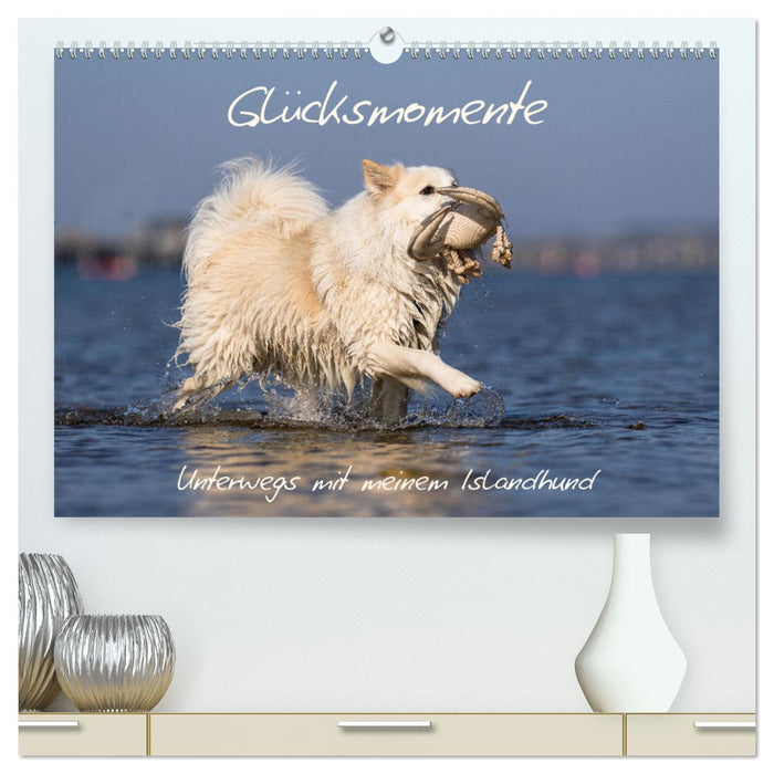 Glücksmomente - Unterwegs mit meinem Islandhund (CALVENDO Premium Wandkalender 2025)