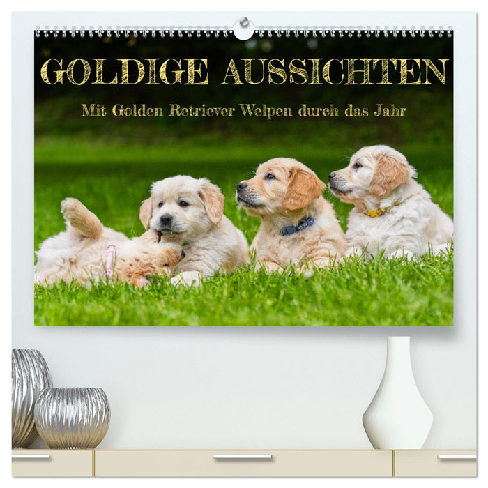 Goldige Aussichten - Mit Golden Retriever Welpen durch das Jahr (CALVENDO Premium Wandkalender 2025)