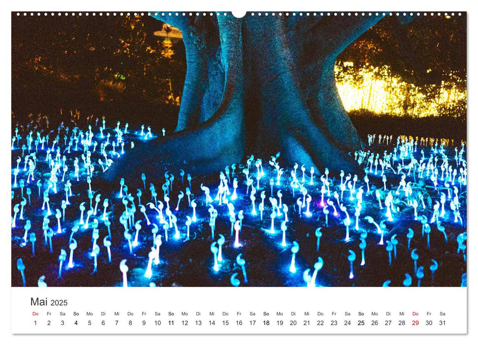 Lass Deiner Fantasie freien Lauf (CALVENDO Wandkalender 2025)