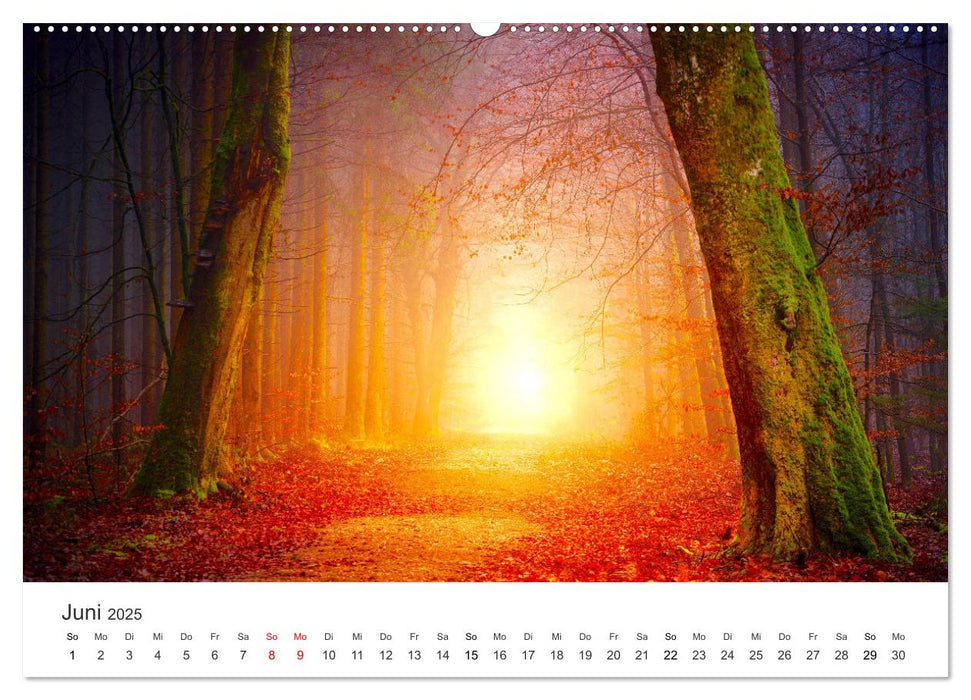 Lass Deiner Fantasie freien Lauf (CALVENDO Wandkalender 2025)