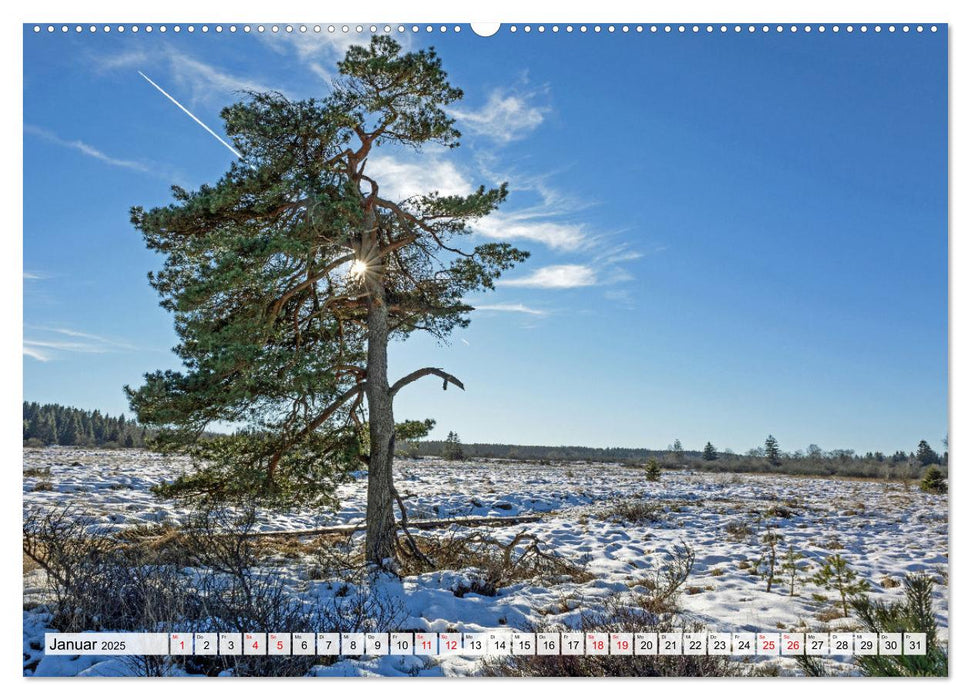 Die Eifel und das Hohe Venn (CALVENDO Premium Wandkalender 2025)