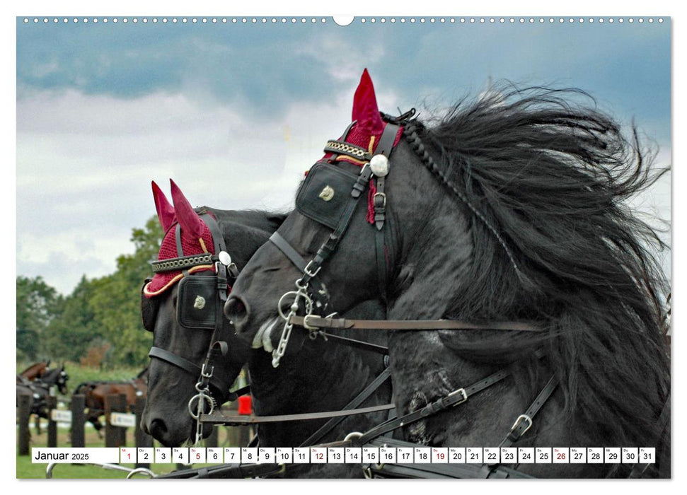 Faszination Fahrsport - Zweispänner im Galopp durch den Parcour (CALVENDO Premium Wandkalender 2025)