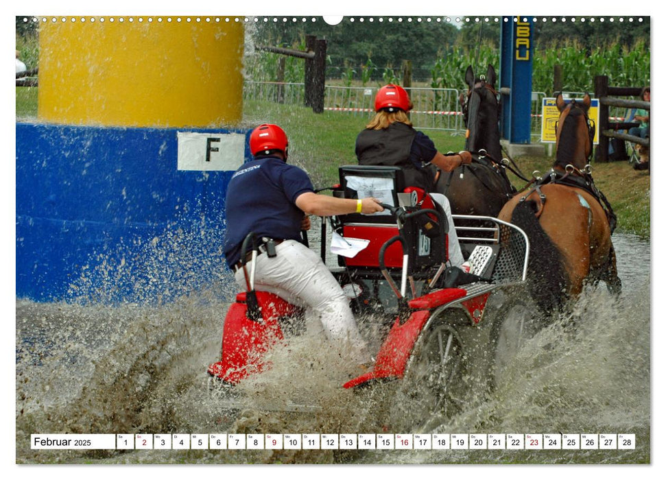 Faszination Fahrsport - Zweispänner im Galopp durch den Parcour (CALVENDO Premium Wandkalender 2025)