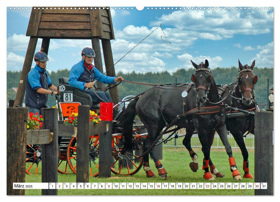 Faszination Fahrsport - Zweispänner im Galopp durch den Parcour (CALVENDO Premium Wandkalender 2025)