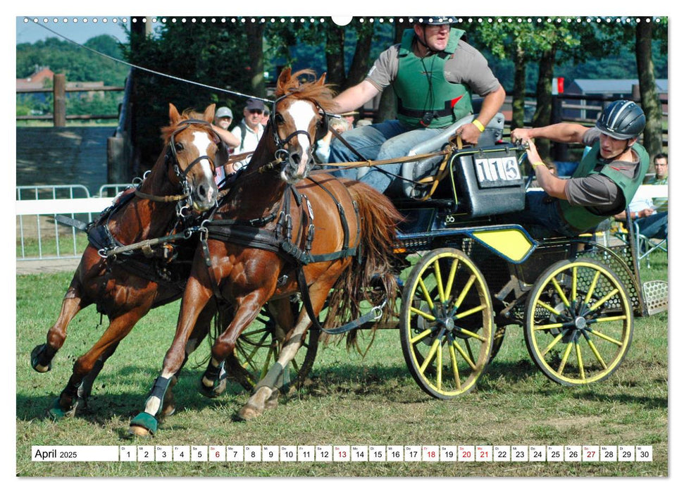 Faszination Fahrsport - Zweispänner im Galopp durch den Parcour (CALVENDO Premium Wandkalender 2025)