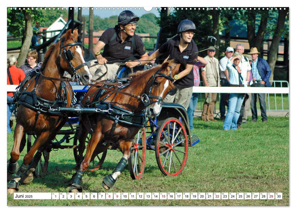 Faszination Fahrsport - Zweispänner im Galopp durch den Parcour (CALVENDO Premium Wandkalender 2025)