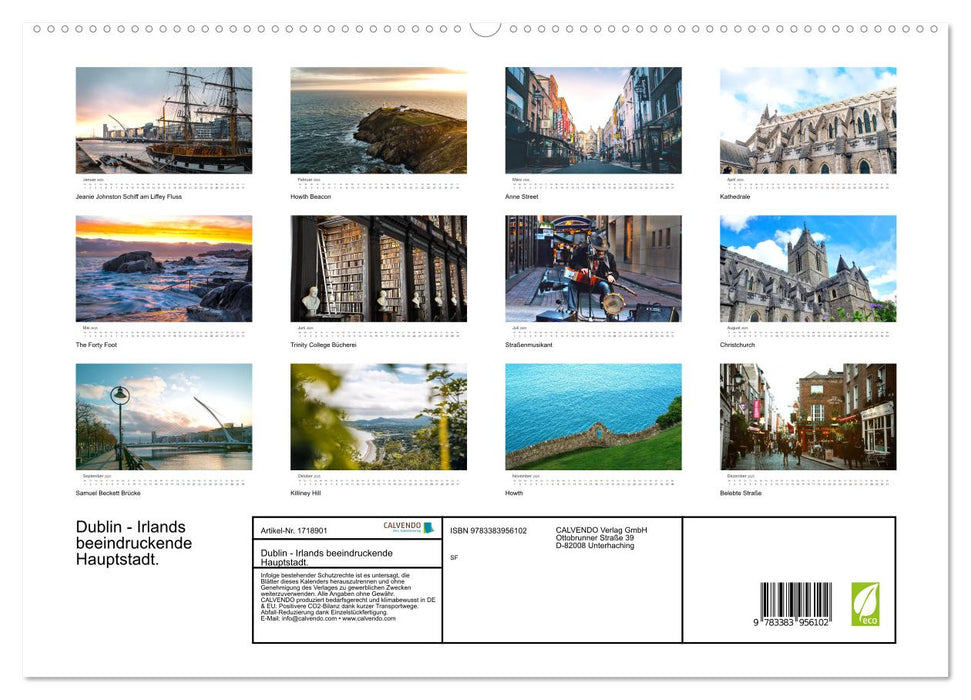 Dublin - Irlands beeindruckende Hauptstadt. (CALVENDO Premium Wandkalender 2025)