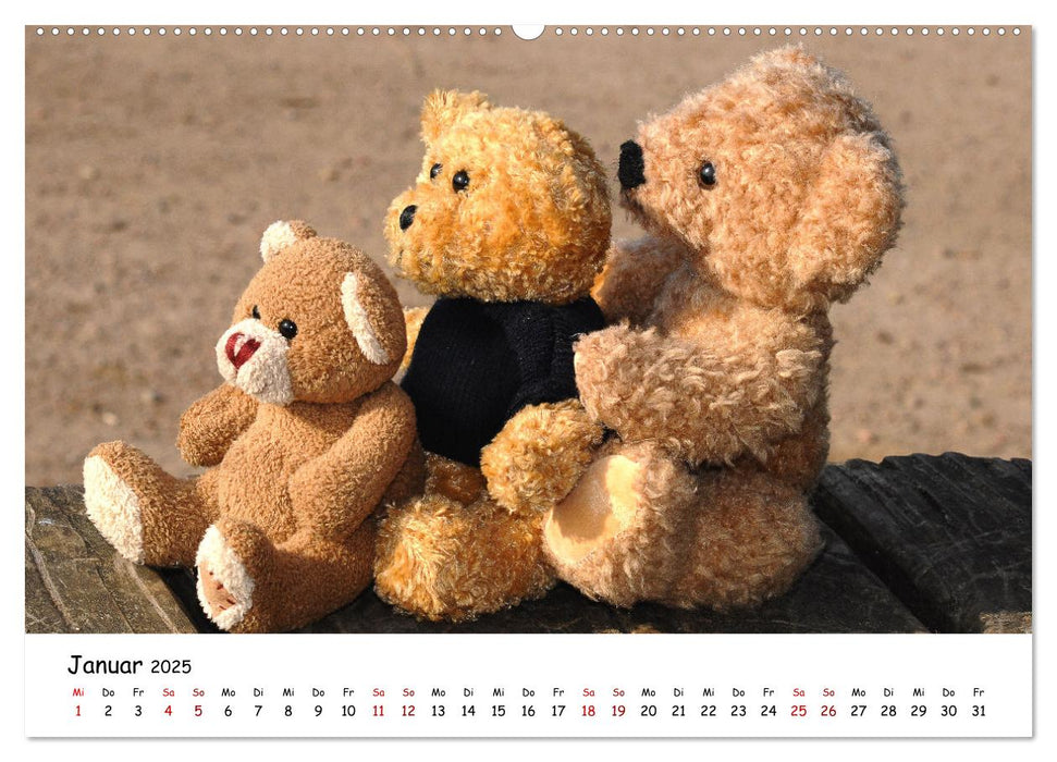 Allerliebste Teddybären (CALVENDO Premium Wandkalender 2025)