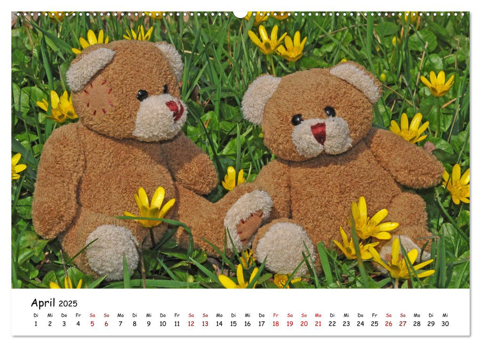 Allerliebste Teddybären (CALVENDO Premium Wandkalender 2025)