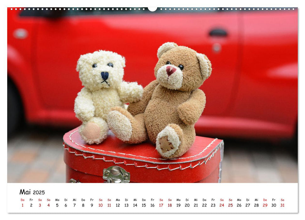 Allerliebste Teddybären (CALVENDO Premium Wandkalender 2025)