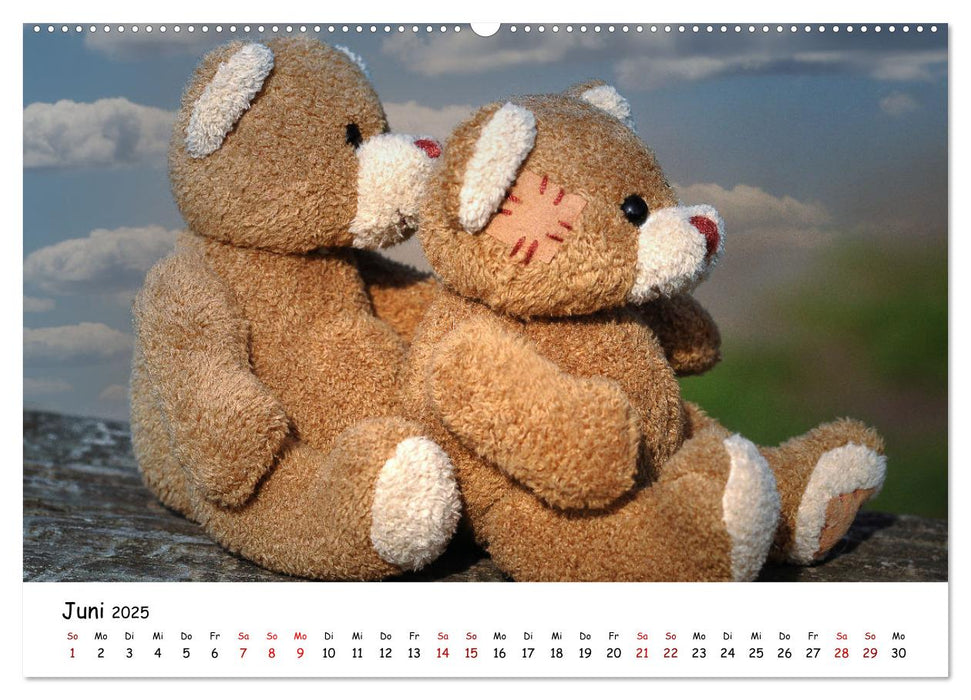 Allerliebste Teddybären (CALVENDO Premium Wandkalender 2025)