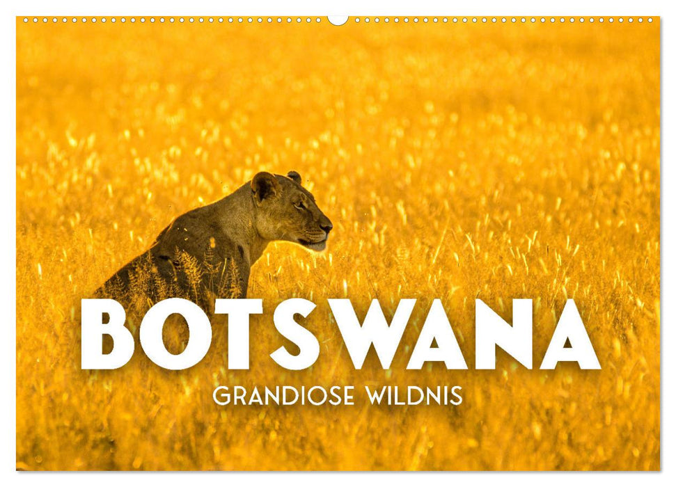 Botswana - Grandiose Wildnis (CALVENDO Wandkalender 2025)