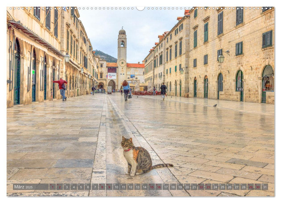 Dubrovnik - Stolze Schönheit der Dalmatischen Küste (CALVENDO Premium Wandkalender 2025)