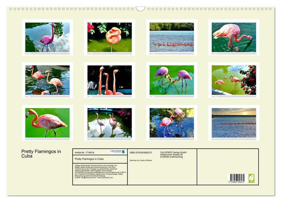 Pretty Flamingos in Cuba (CALVENDO Wandkalender 2025)