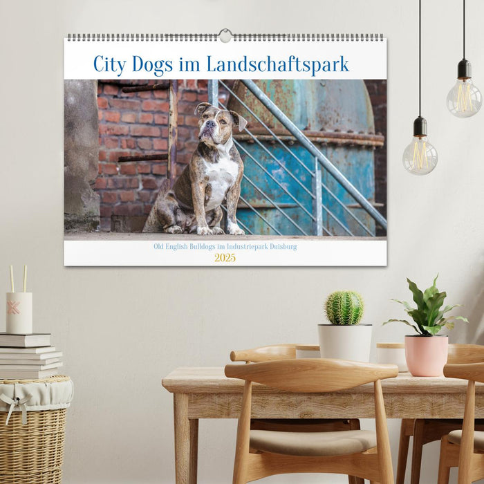 City Dogs im Landschaftspark (CALVENDO Wandkalender 2025)