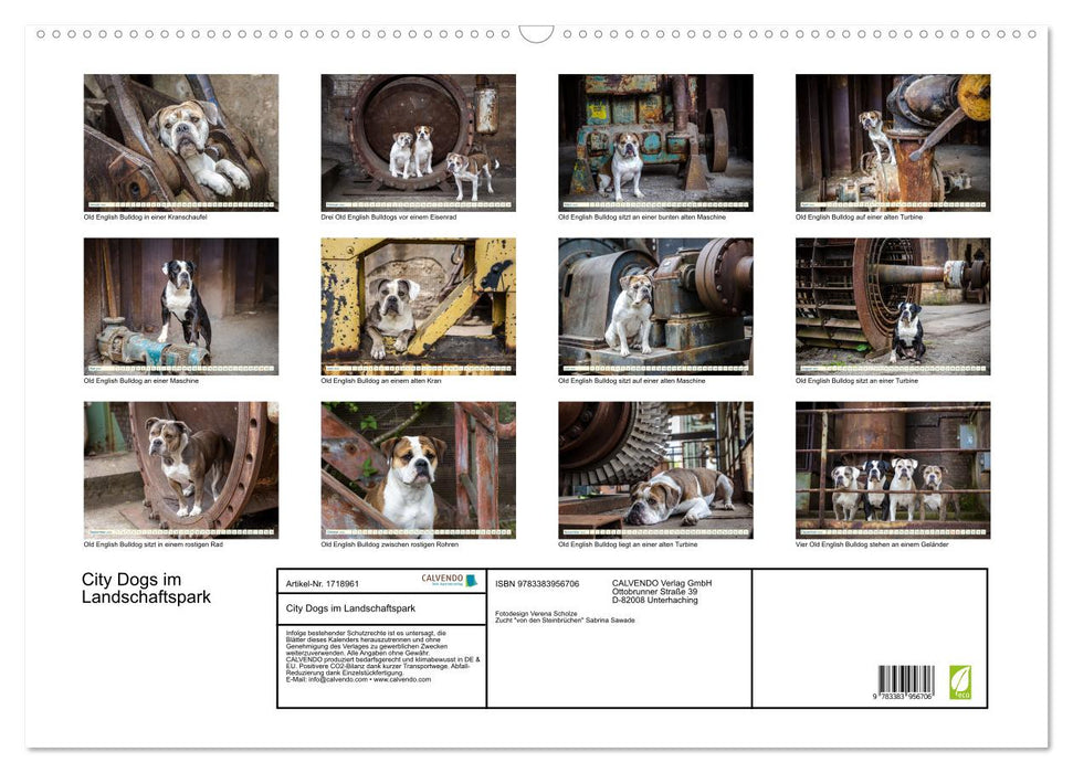 City Dogs im Landschaftspark (CALVENDO Wandkalender 2025)