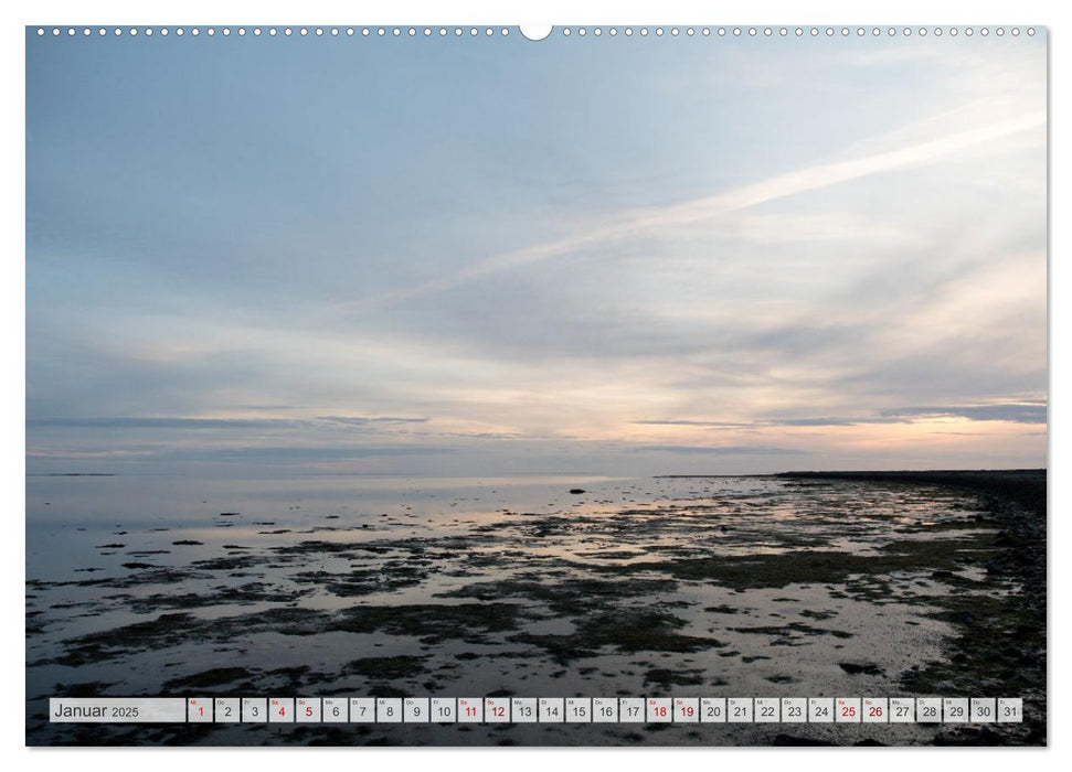 Wunderschöne Hallig Hooge (CALVENDO Premium Wandkalender 2025)