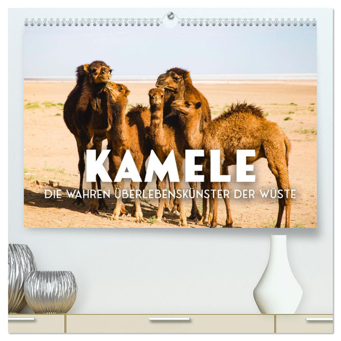 Kamele - die wahren Überlebenskünstler der Wüste. (CALVENDO Premium Wandkalender 2025)