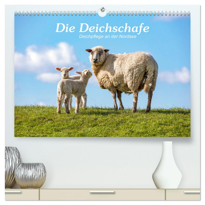 Die Deichschafe. Deichpflege an der Nordsee (CALVENDO Premium Wandkalender 2025)