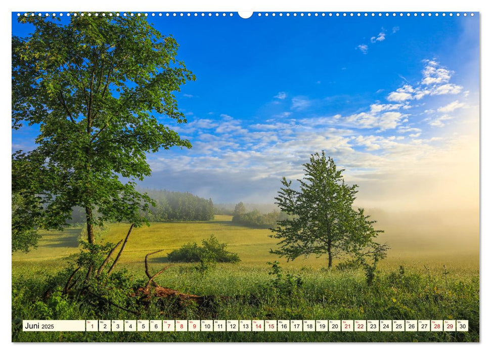 Naturpark Obere Donau (CALVENDO Premium Wandkalender 2025)