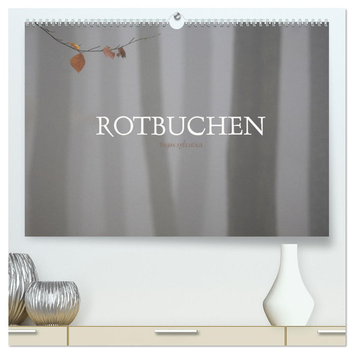 Rotbuchen (CALVENDO Premium Wandkalender 2025)