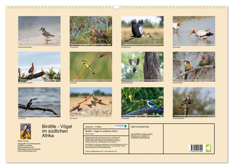 Birdlife - Vögel im südlichen Afrika (CALVENDO Wandkalender 2025)