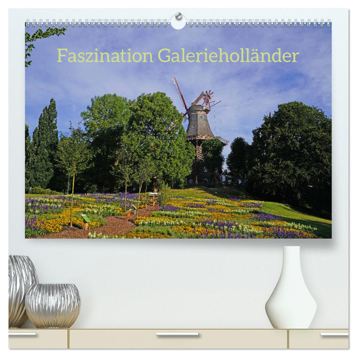 Faszination Galerieholländer (CALVENDO Premium Wandkalender 2025)