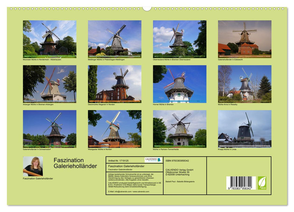 Faszination Galerieholländer (CALVENDO Premium Wandkalender 2025)