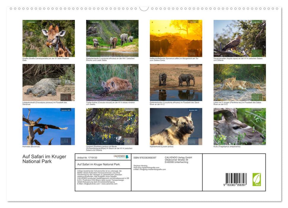 Auf Safari im Kruger National Park (CALVENDO Premium Wandkalender 2025)