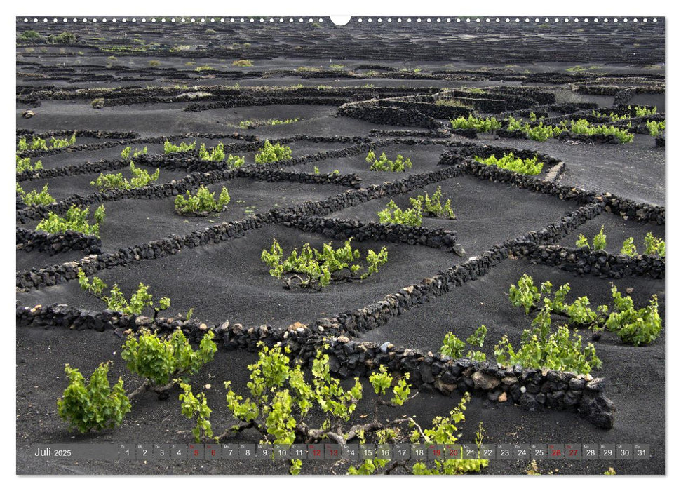 Lanzarote Aus Vulkanen geboren (CALVENDO Premium Wandkalender 2025)