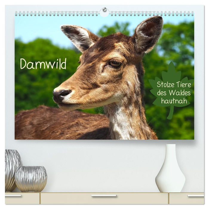 Damwild - stolze Tiere des Waldes hautnah (CALVENDO Premium Wandkalender 2025)