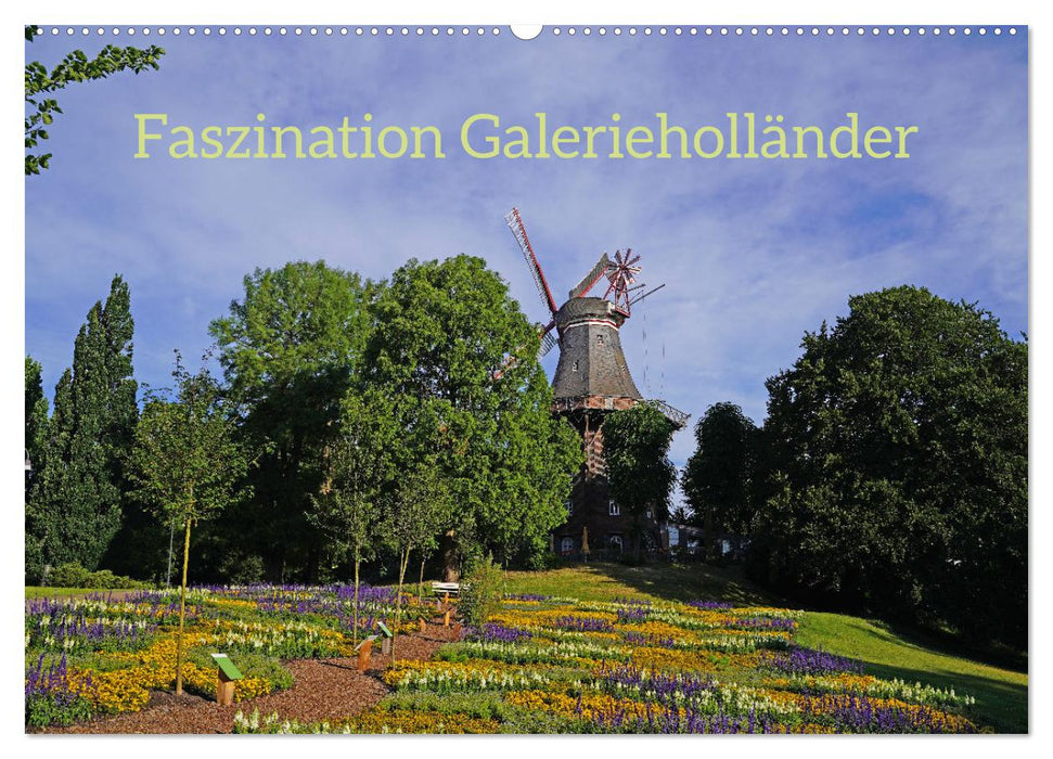 Faszination Galerieholländer (CALVENDO Wandkalender 2025)