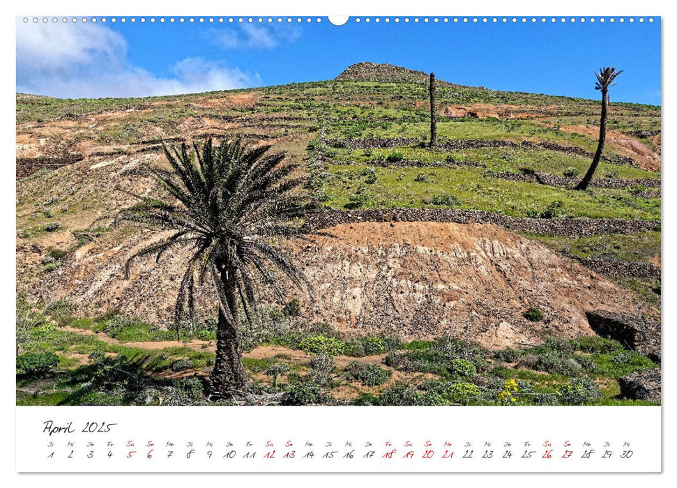 Lanzarote & La Graciosa - Inseln der spektakulären Landschaften (CALVENDO Premium Wandkalender 2025)