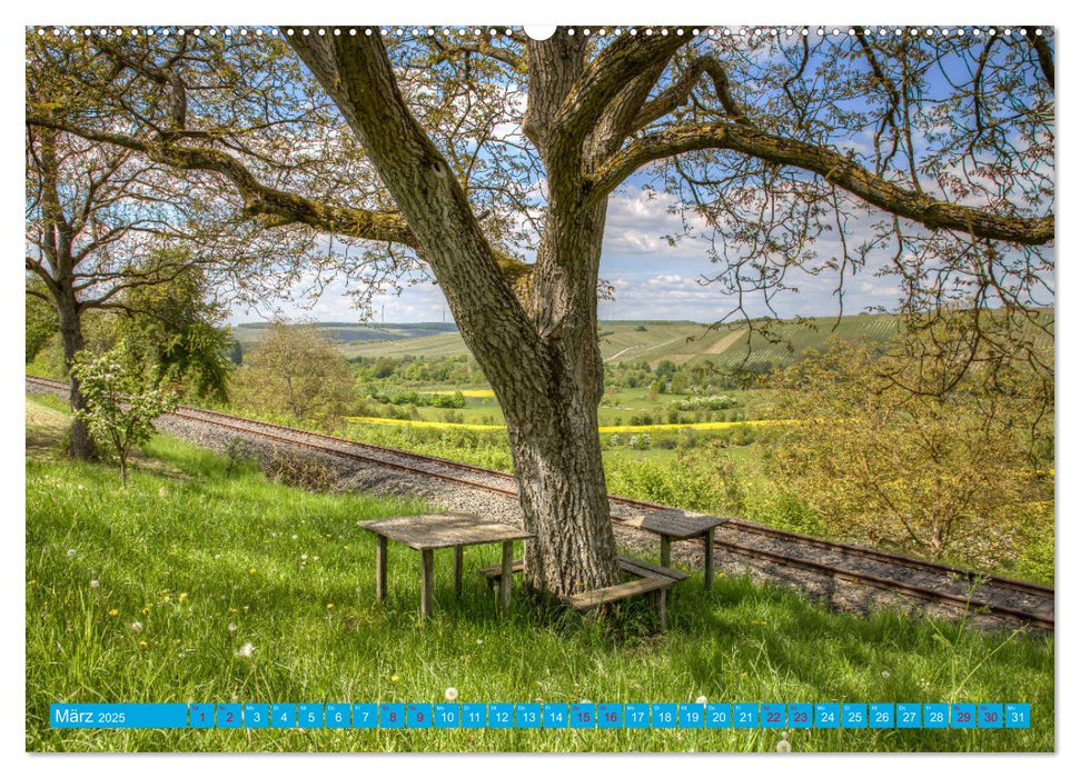 Natur pur - Volkach am Main (CALVENDO Premium Wandkalender 2025)