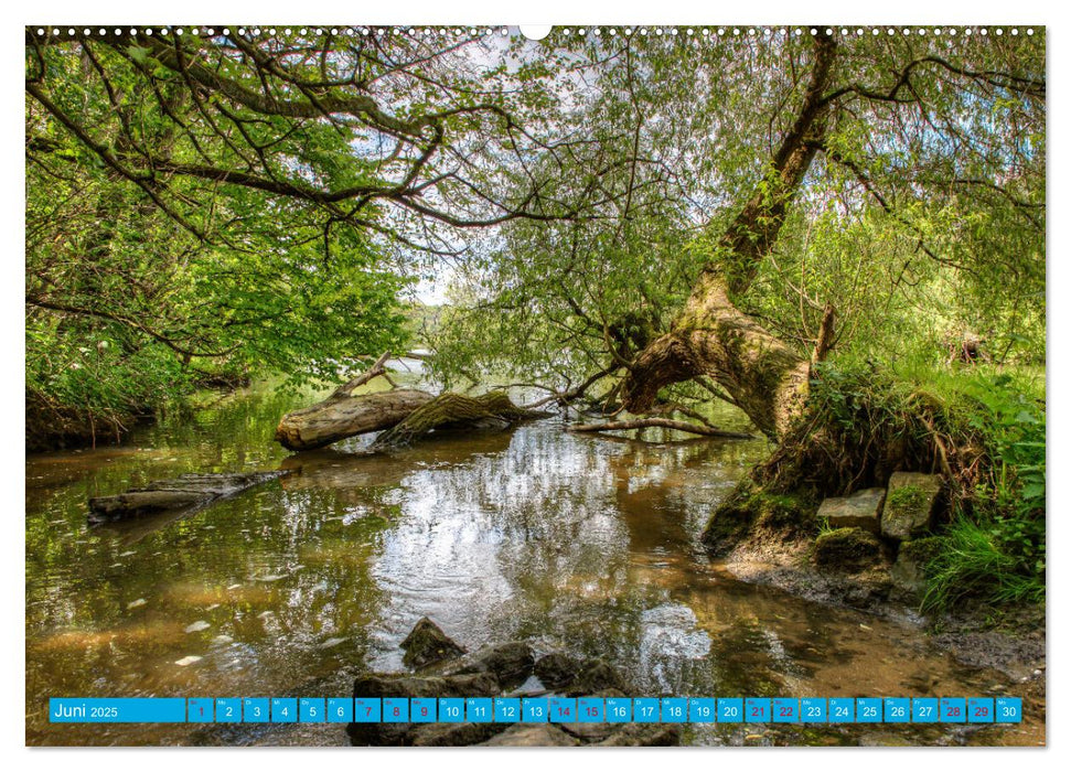 Natur pur - Volkach am Main (CALVENDO Premium Wandkalender 2025)