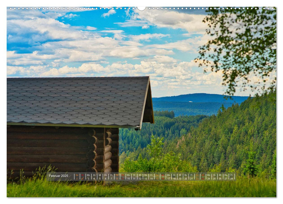 Faszination Thüringer Wald (CALVENDO Premium Wandkalender 2025)