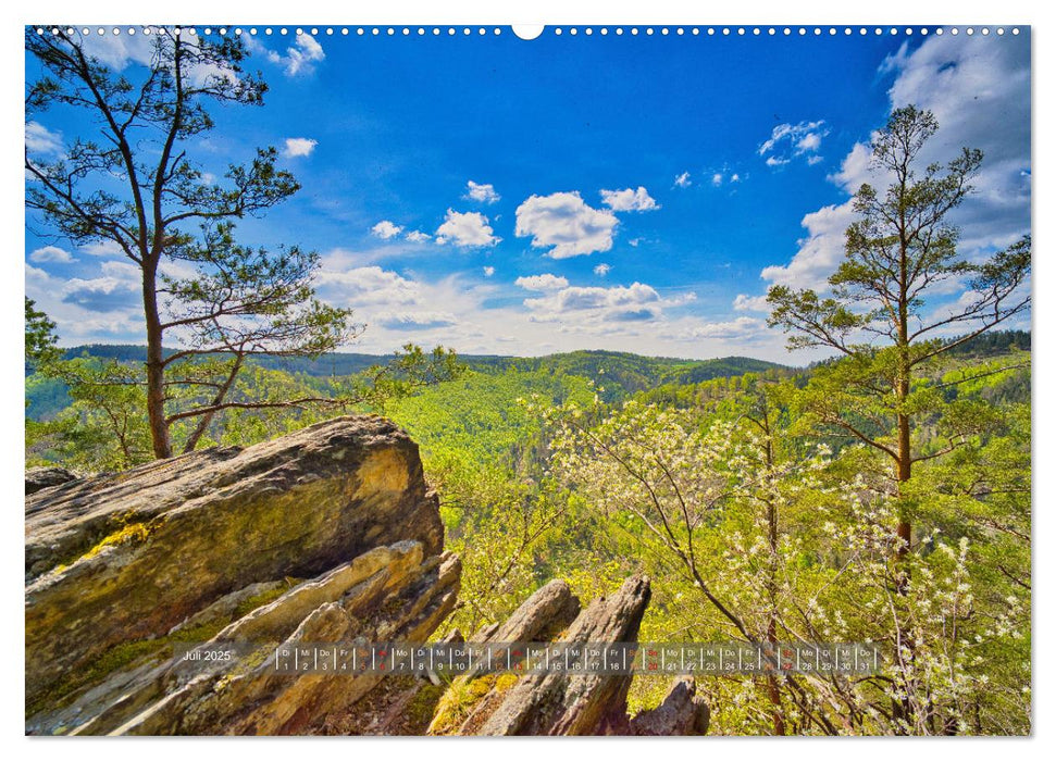 Faszination Thüringer Wald (CALVENDO Premium Wandkalender 2025)