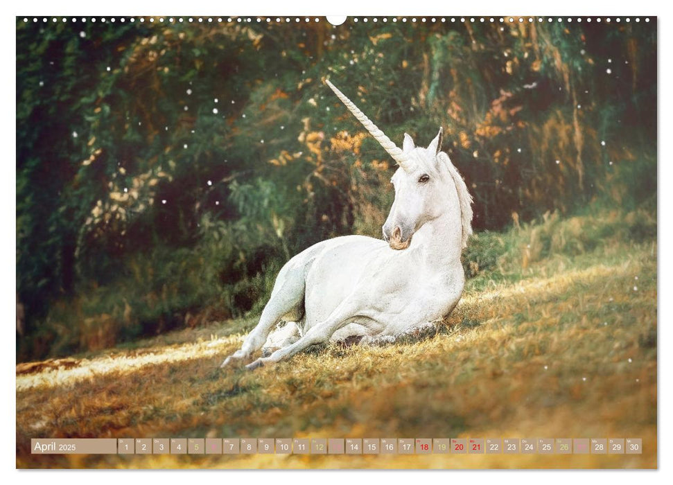 Einhorn Zauber - anmutige Einhornbilder (CALVENDO Premium Wandkalender 2025)