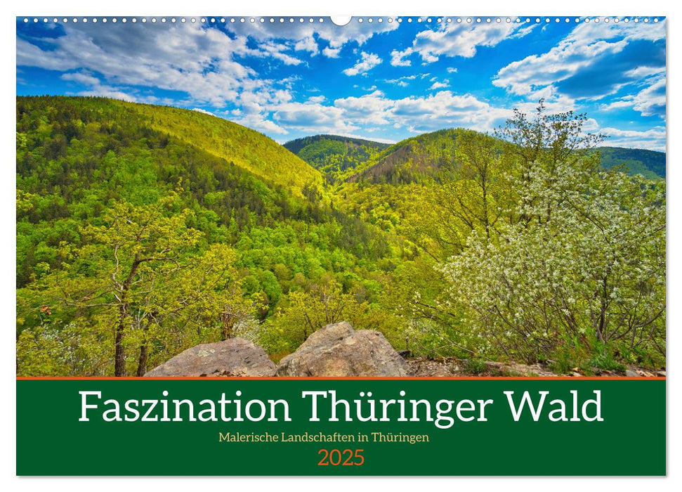 Faszination Thüringer Wald (CALVENDO Wandkalender 2025)