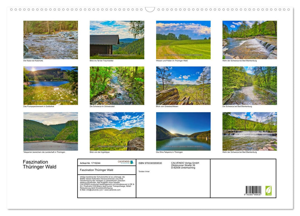 Faszination Thüringer Wald (CALVENDO Wandkalender 2025)