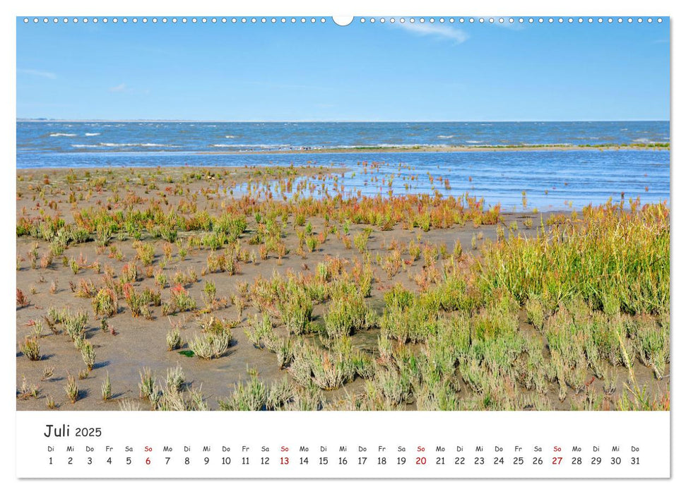 Borkum: Streifzüge über die Nordseeinsel (CALVENDO Premium Wandkalender 2025)