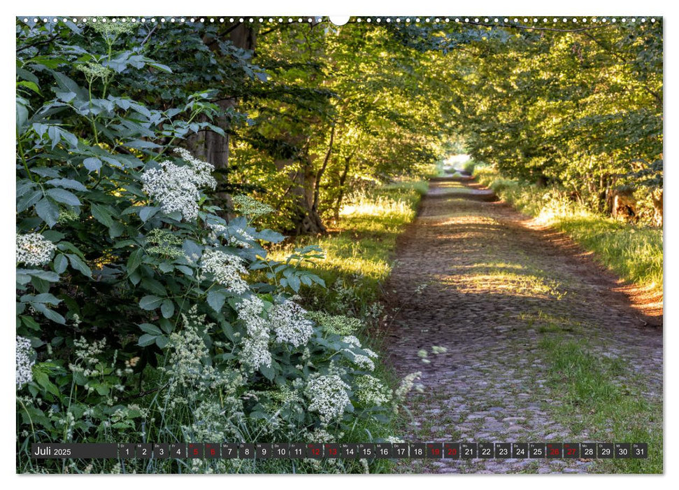 Rügen - Inseltraumblicke (CALVENDO Premium Wandkalender 2025)