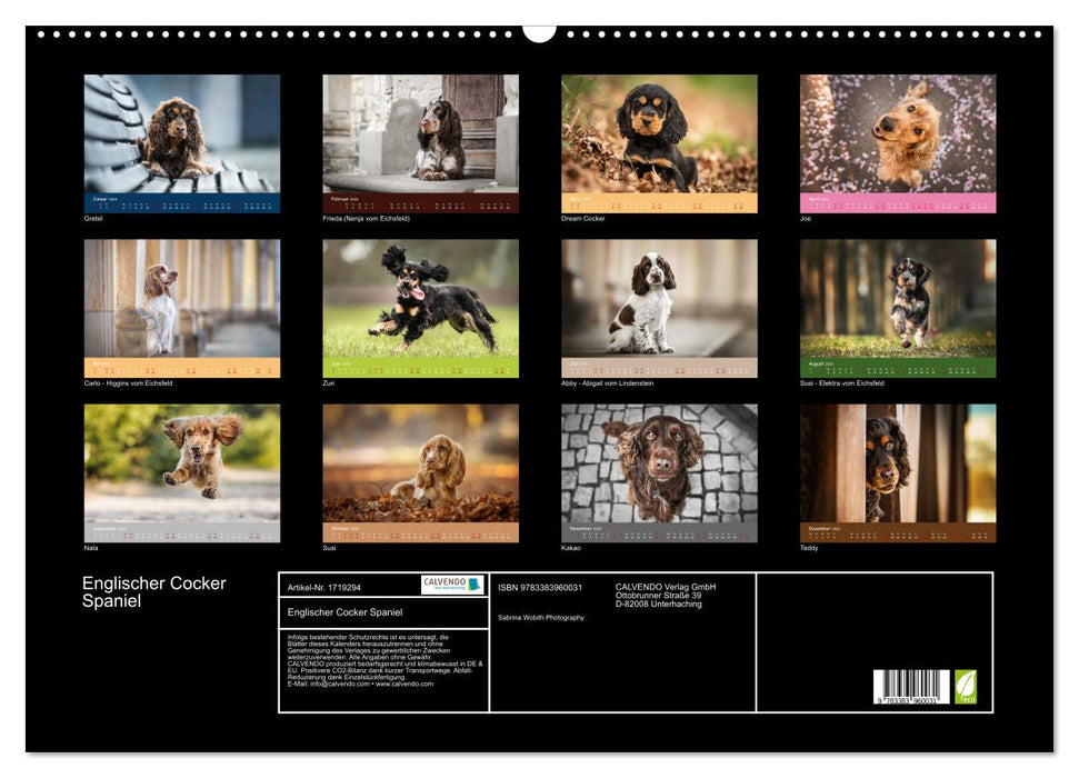 Englischer Cocker Spaniel (CALVENDO Wandkalender 2025)